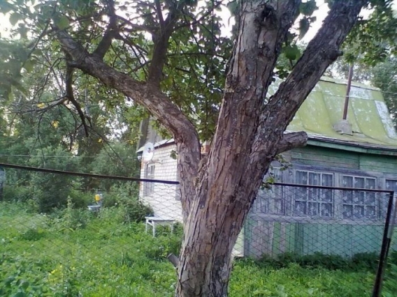 Znajdz kota Znajdz kota