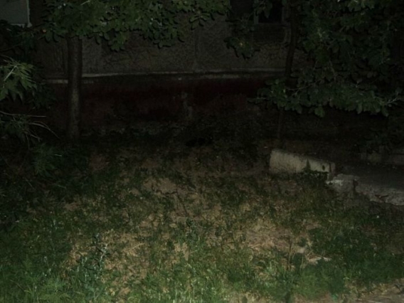 Znajdz kota Znajdz kota