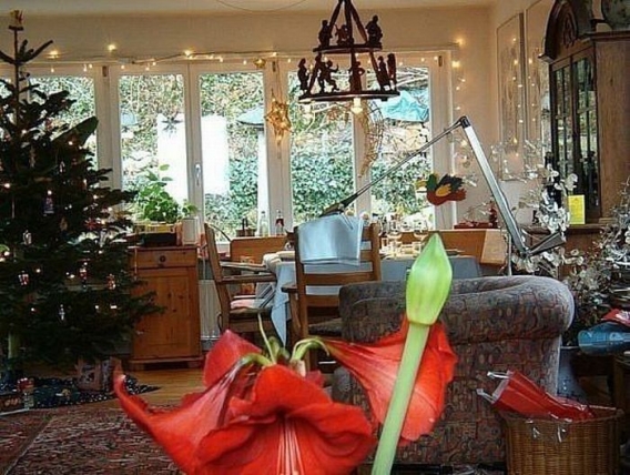 Znajdz kota Znajdz kota