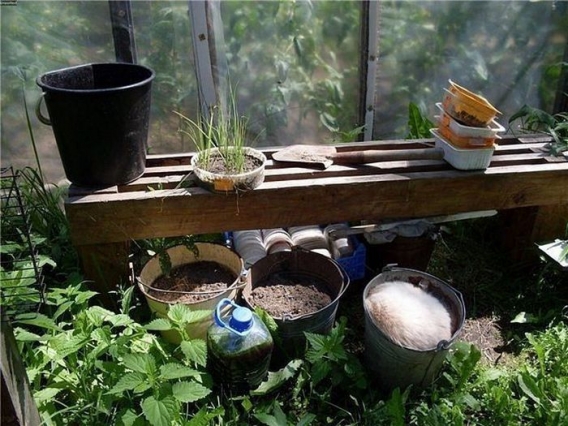 Znajdz kota Znajdz kota