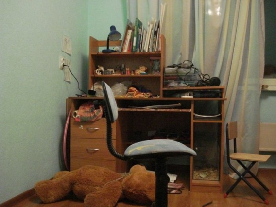 Znajdz kota Znajdz kota