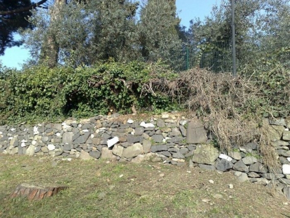 Znajdz kota Znajdz kota