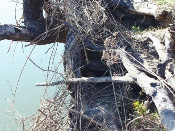 Znajdz kota Znajdz kota