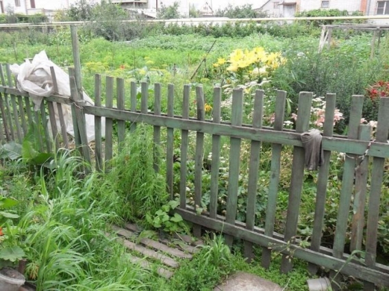 Znajdz kota Znajdz kota