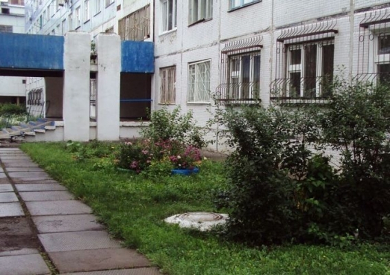 Znajdz kota Znajdz kota