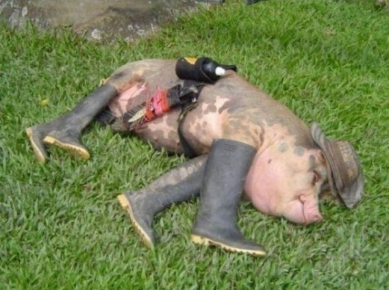 Ameryka Południowa Ameryka Południowa