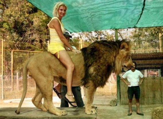 Ameryka Południowa Ameryka Południowa