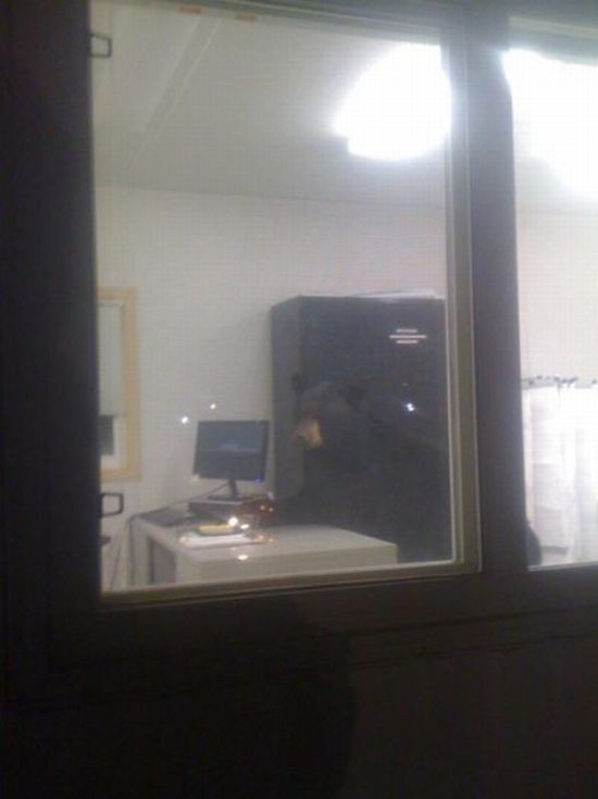 Niespodziewany gość Niespodziewany gość