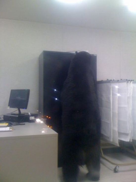 Niespodziewany gość Niespodziewany gość