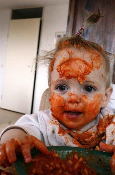 Pocieszne pociechy Pocieszne pociechy