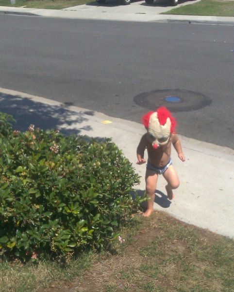 Pocieszne pociechy Pocieszne pociechy