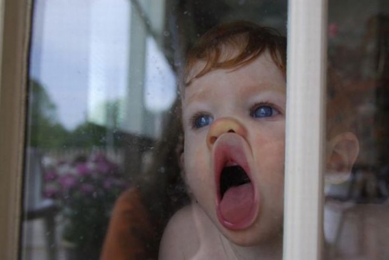 Pocieszne pociechy Pocieszne pociechy