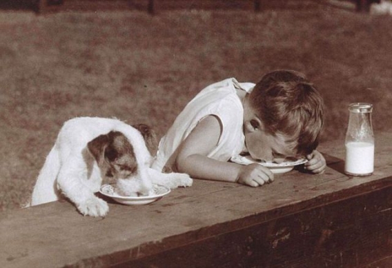 Pocieszne pociechy Pocieszne pociechy