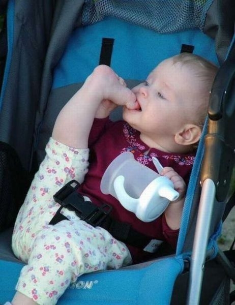 Pocieszne pociechy Pocieszne pociechy