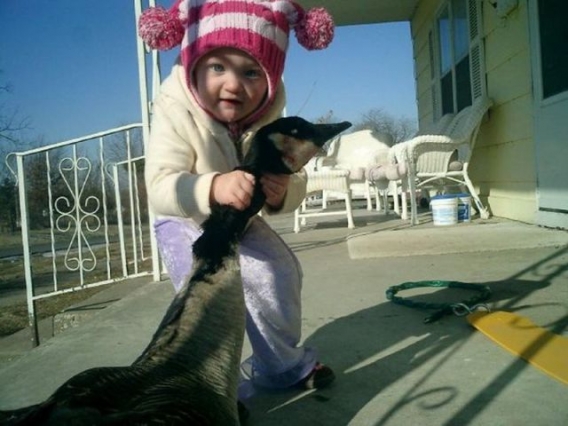 Pocieszne pociechy Pocieszne pociechy