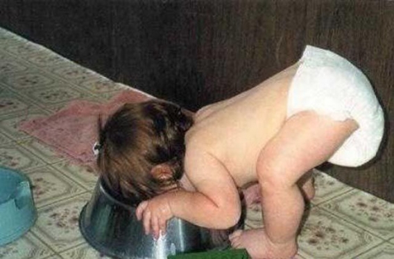 Pocieszne pociechy Pocieszne pociechy