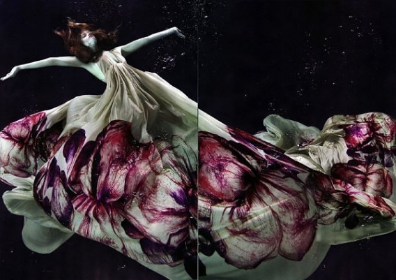 podwodna sesja podwodna sesja