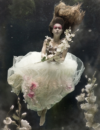 podwodna sesja podwodna sesja