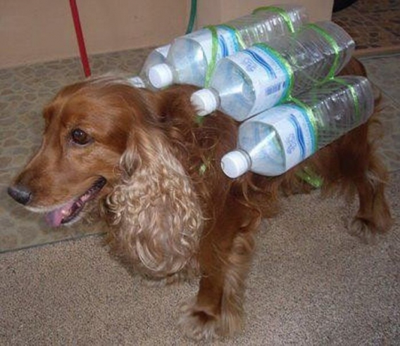 Powódź w Tajlandii Powódź w Tajlandii