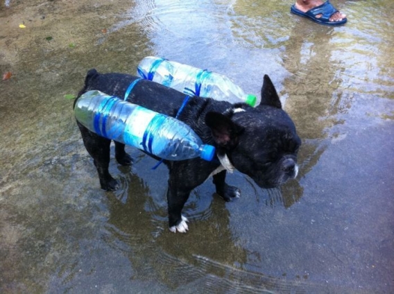 Powódź w Tajlandii Powódź w Tajlandii